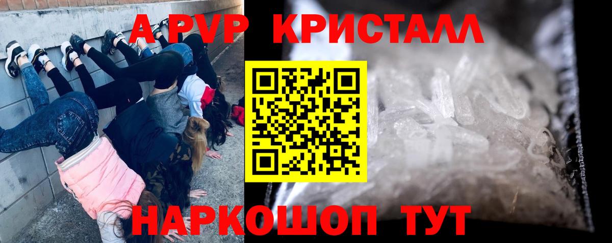 A-PVP СК КРИС Кизилюрт