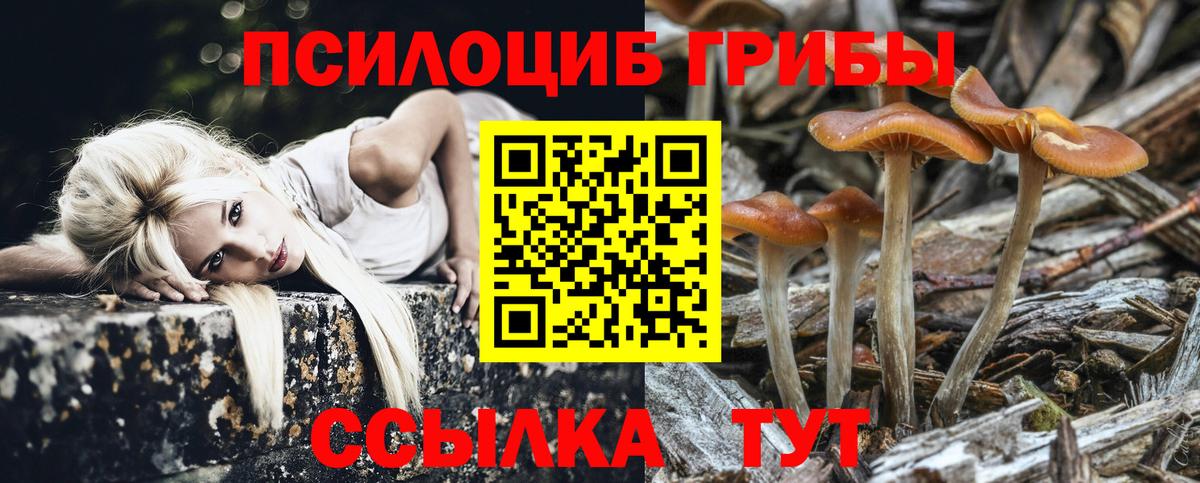 Кизилюрт  сколько стоит  Вход с VPN  Псилоцибиновые грибы Cubensis 