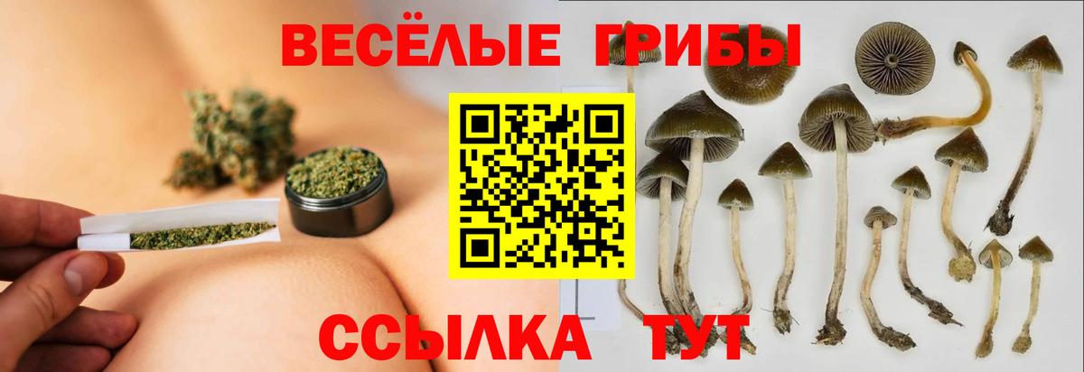 Псилоцибиновые грибы прущие грибы Кизилюрт